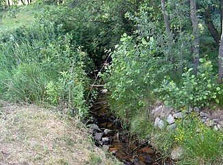 Mühlbach, about 200 m west of its mouth