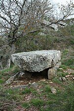 Dolmen du Devès de Félines