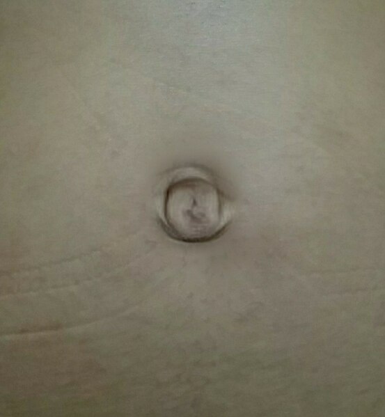 File:My navel.jpg