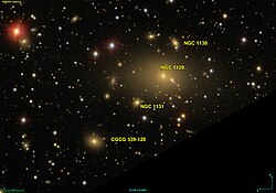 NGC 1131