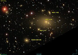 NGC 1131