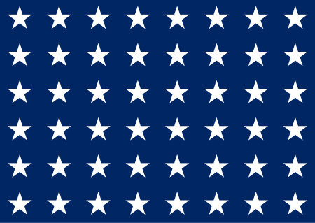 ไฟล์:US Naval Jack 48 stars.svg