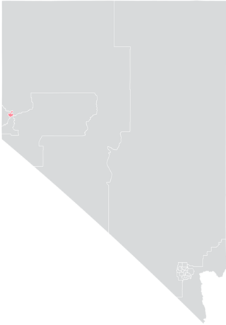 <span class="mw-page-title-main">Nevada's 13th Senate district</span> American legislative district