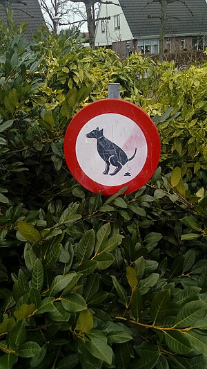 No dog poop sign at a small local park, Scheemda (2019).jpg