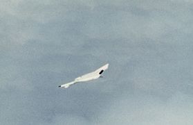 XB-70 inverted