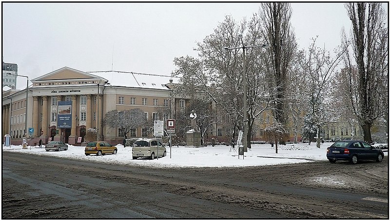 File:Nyíregyháza, 2008 első hó - panoramio - Szemes Elek (28).jpg