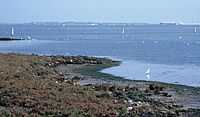 Lagune bei Chioggia