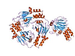 PDB 1khu EBI.jpg