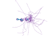 PDB 2ctt EBI.png