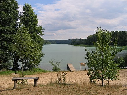 A lake in the Jezioro Zbiczno park