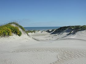 Песчаные дюны острова Падре