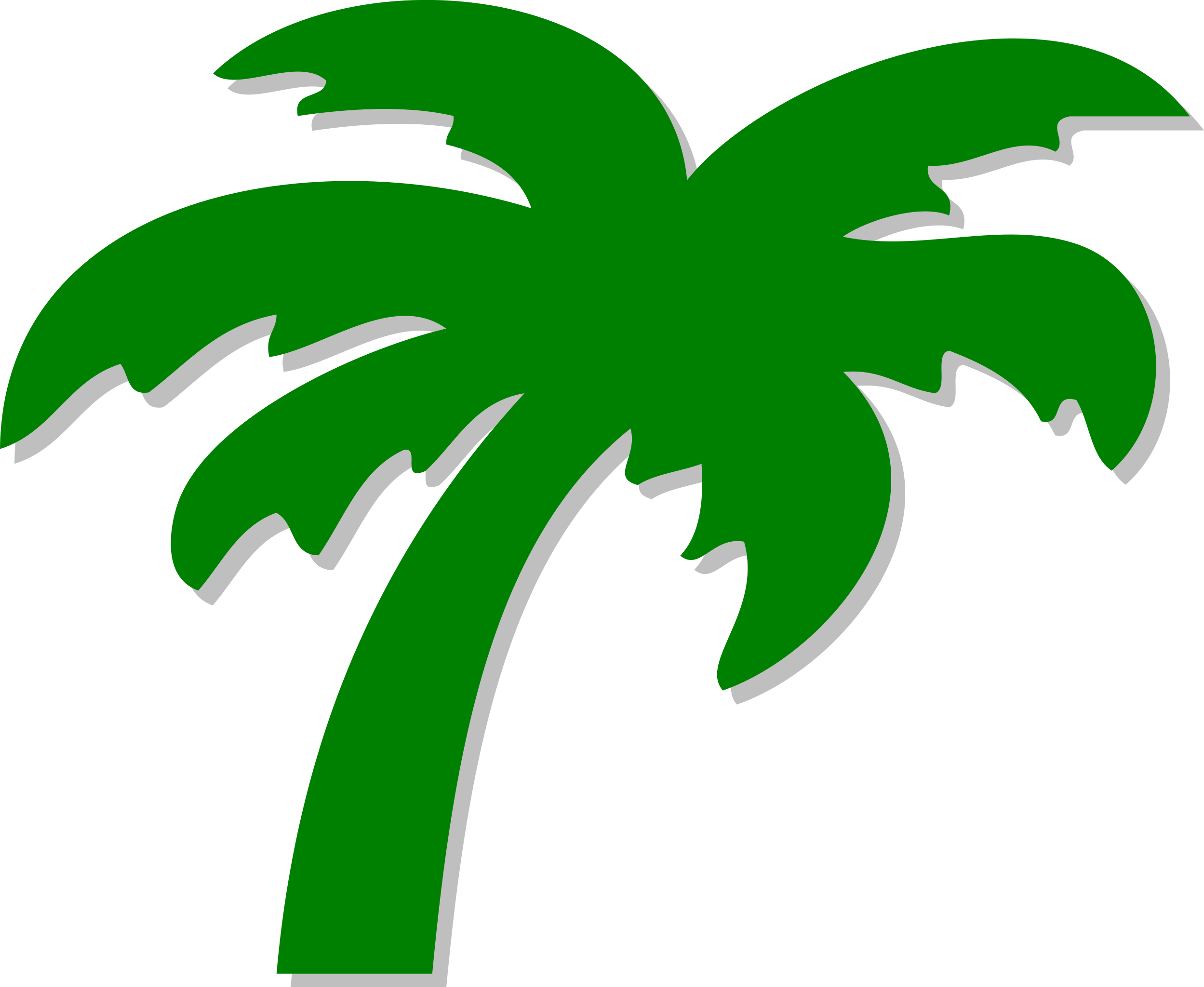 File:Palm tree  - Wikipedia