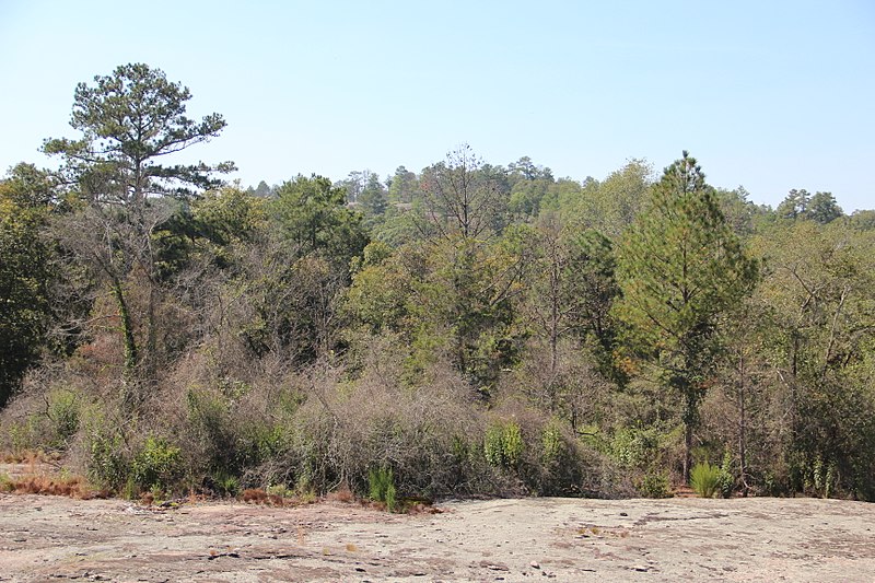 File:Panola Mountain viewed from viewing platform, Sept 2017.jpg