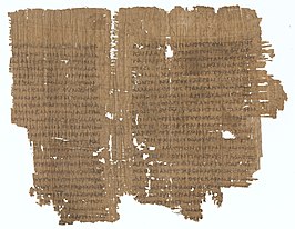 Papyrus 8