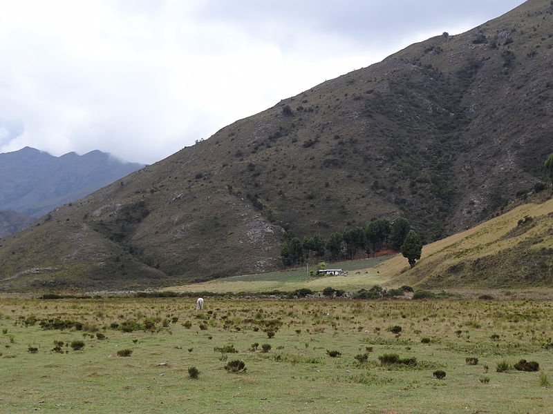 File:Paraje Páramo de Guinas.JPG