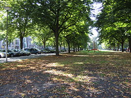 Parklaan, de centrale as van de wijk