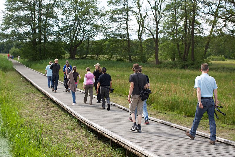 File:Participants of the Wiki loves Earth photography workshop in the Drentsche Aa 02.jpg