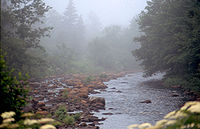 Petite Rivière (Lunenburg County)