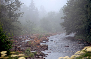 Petite Rivière (Lunenburg County) river in Nova Scotia, Canada