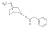 Phenylacetoxytropane.png