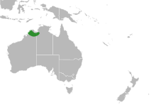 Plagiocarpus Distribution Map.svg