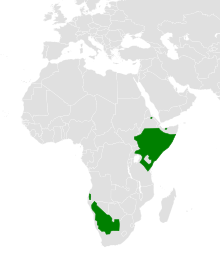 Polihierax semitorquatus distribution map.svg