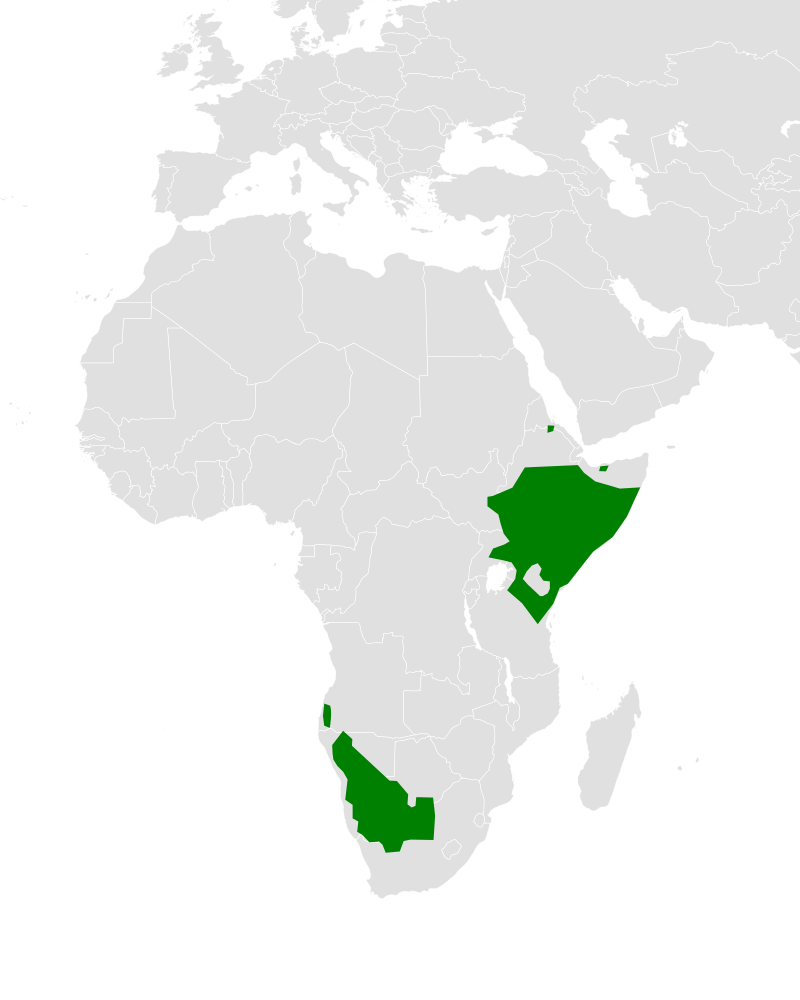 Polihierax semitorquatus distribution map.svg