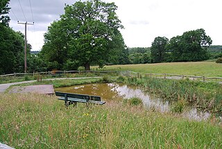 <span class="mw-page-title-main">Barnett's Wood</span> Nature reserve in the United Kingdom