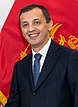 Предраг Бошкович, бивш министър на отбраната на Черна гора.jpeg