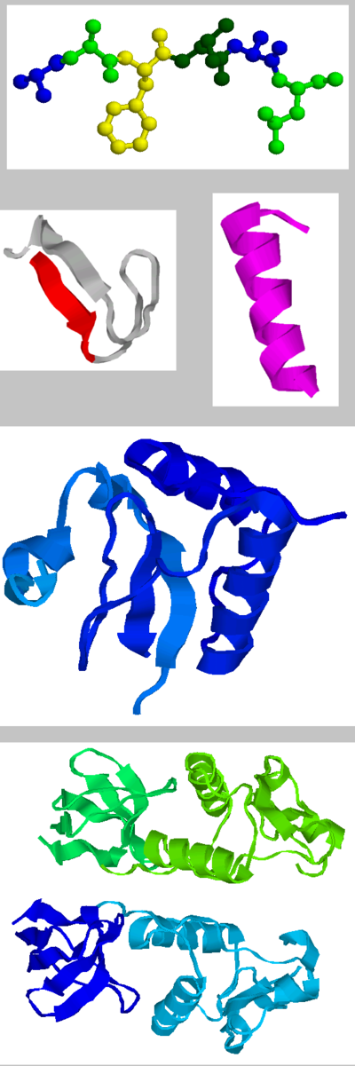 Estruturas tridimensionais das proteínas