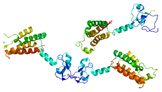 <span class="mw-page-title-main">BPTF</span> Protein-coding gene in the species Homo sapiens