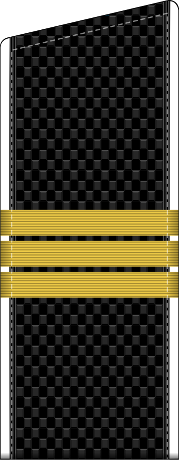 File:RAF N R6-Starsh1st 2010–.svg