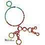 Thumbnail for Epstein–Barr virus nuclear-antigen internal ribosomal entry site