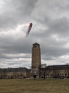 Kite at Highland Park, Illinois