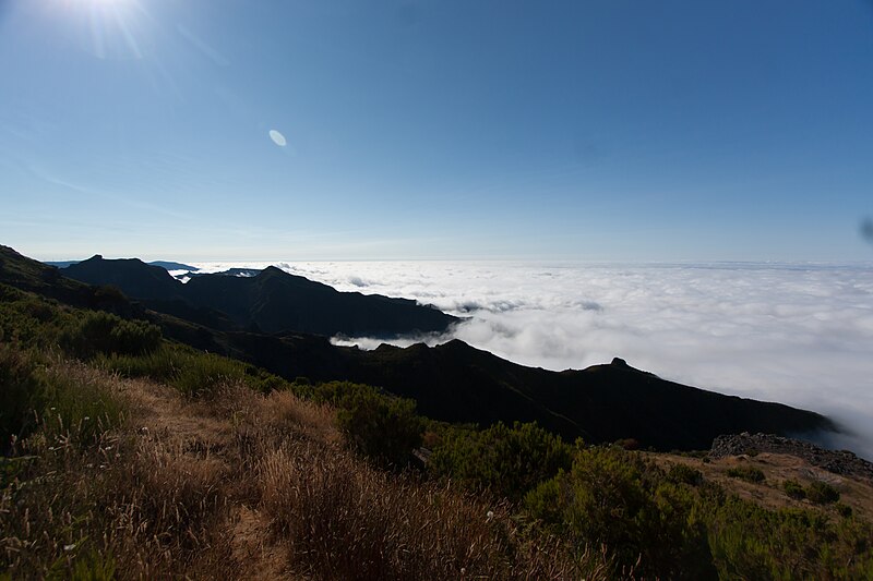 File:Região autónoma da Madeira em Julho de Dois Mil e Quatorze IMG 4858 (14877774295).jpg