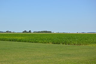 <span class="mw-page-title-main">Richfield Township, Henry County, Ohio</span> Township in Ohio, United States