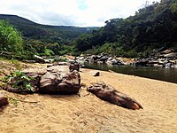 Turmalina (Minas Gerais)