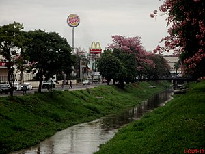 Catanduva: História, Geografia, Demografia