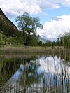 Riserva naturale Lago di Lolair a maggio 05.jpg