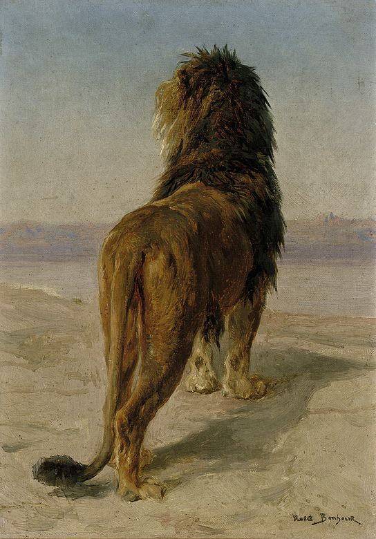 Лев рос. Rosa bonheur картины. Роза бонёр произведения. Лев на спине. Лев вид сзади.