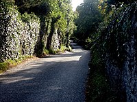 Kasar Lane, Luttrellstown - geograph.org.inggris - 576347.jpg