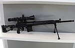 SVDM sniper rifle at Military-technical forum ARMY-2016 01.jpg