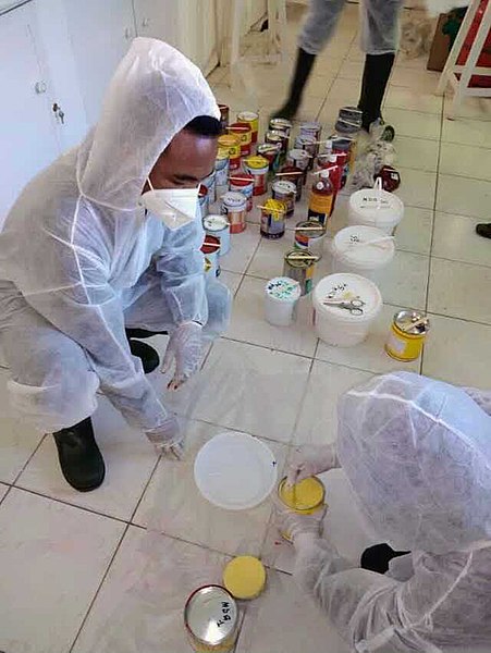 File:Sampling paint for lead in Madagascar, to enforce limits to lead content in paint.jpg