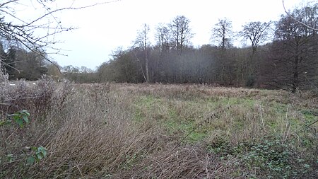 Sarratt Bottom SSSI 2