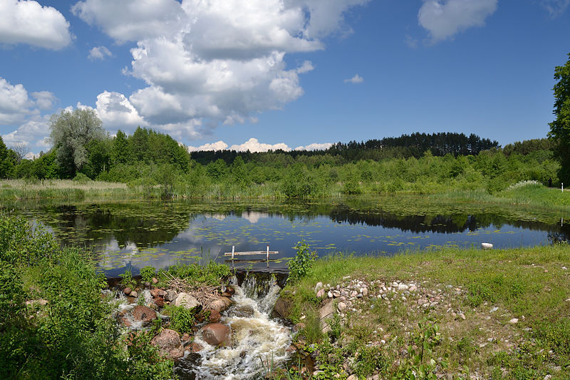 File:Savastvere järv (Alatskivi jõgi).jpg