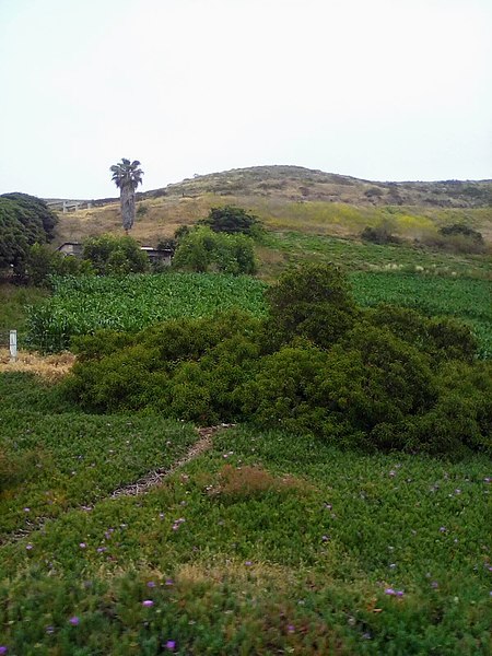 File:Scenic Road Baja California.jpg