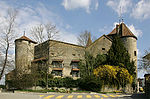 Murten Castle