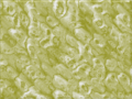 Scratch BG marble 25.png