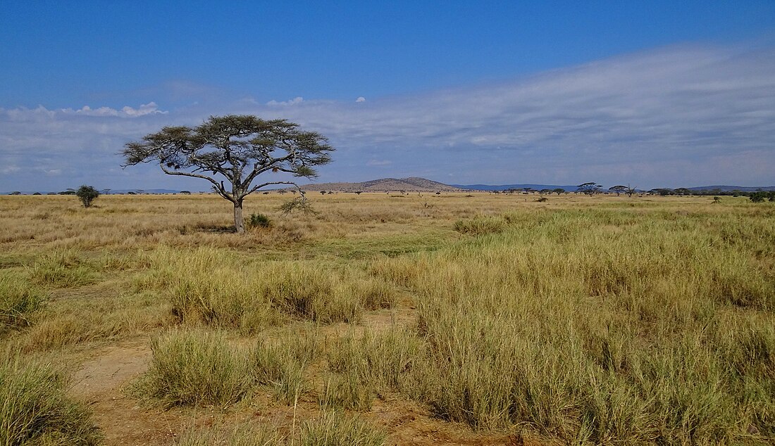 Parque Nacional de Serenguéti