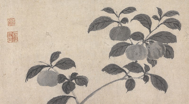 File:Shen Zhou - Branch of Fruit Bearing Tree - 73.160 - Indianapolis Museum of Art.jpg